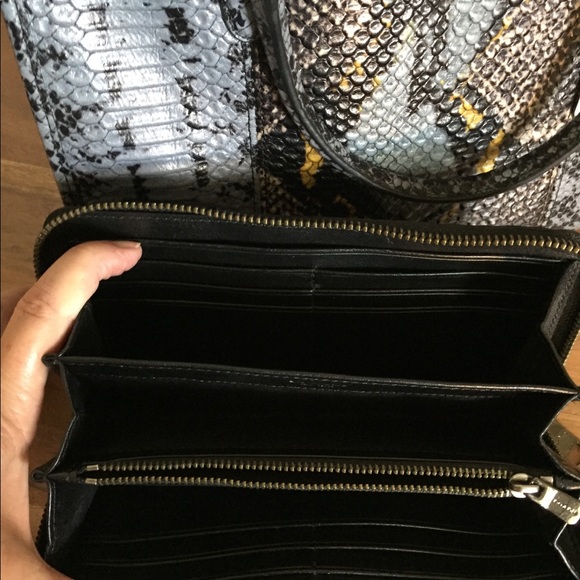 Stunning Coach Crosby - Picture 8 of 10